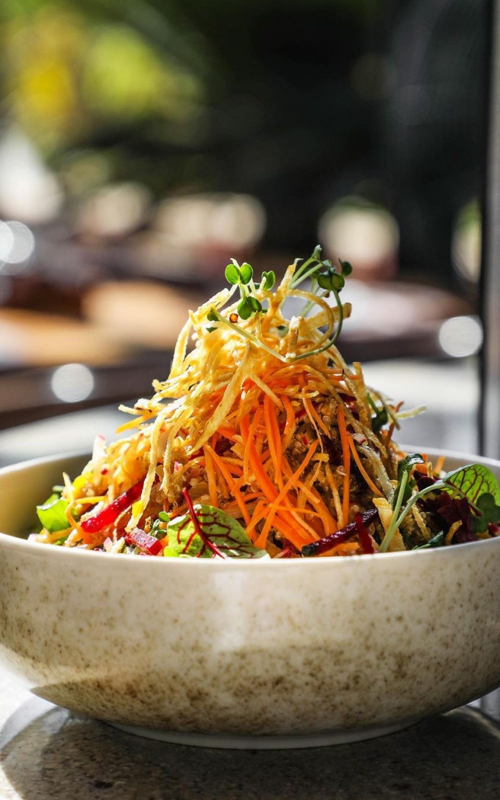 296395626_1308522056555043_1898246528133251719_n